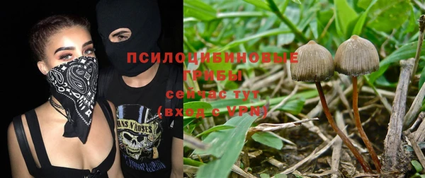 дмт Болотное